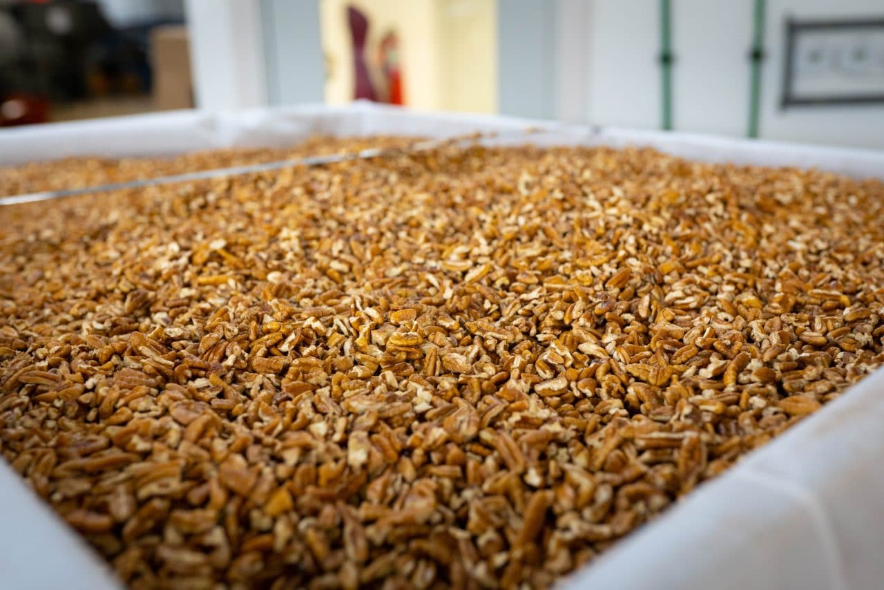 Discover Goldthwaite Business Feature Discover